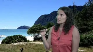 Sex Therapy In Hawaii