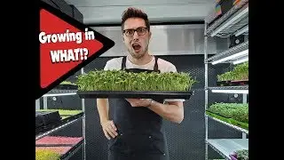 Inside Our 160sqft Mobile Microgreen Grow Space — Full Tour!