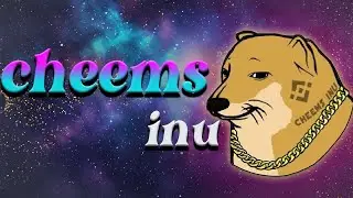 Les mises à jour du cheems inu sont incroyables!