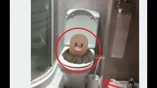 FUNNY POKEMON GO