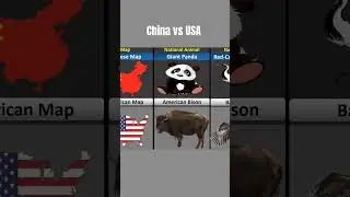 China Vs USA | Country Comparison #comparisonvideo #countrycomparision #animation
