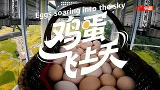 山上无人机闪电集货，山下高铁极速成网。江西山村的鸡蛋坐着无人机，从老区“飞”到湾区，农产品半年销售额1980万元。On the mountain, drones gather the harvest.