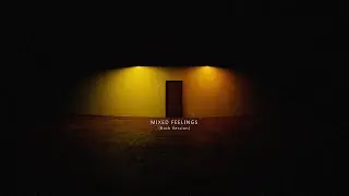 Vinyll - Mixed Feelings (Chill Rock Version)