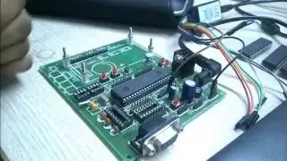 Professional Training Institute Student explaining TIMER0 MODE0 Polling Assembly