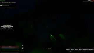 Untitled video