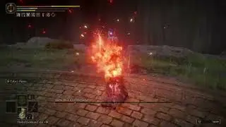Lost Old Man VS Alecto (Cheese)