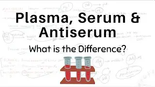 Plasma, Serum & Antiserum | Difference between Plasma, Serum & Antiserum | CSIR NET LifeScience