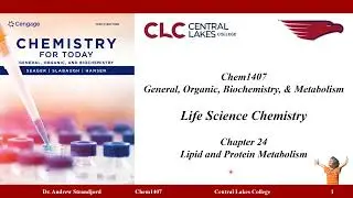 Chem1407 Lecture Notes Chapter 24