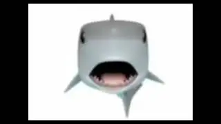 angry shark