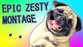 My Zesty Channel Compilation #2