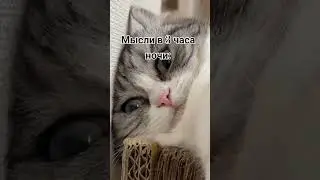 лол  #шайлураптор  #индоминусяйца