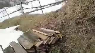 Выставка пасеки 2020г,Солонешенский район.