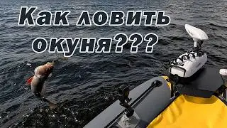 ОТЛИЧНЫЙ КЛЁВ!!! РЫБАЛКА В ДЕНЬ РОЖДЕНИЯ!!!