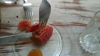 how to clean and eat cactus