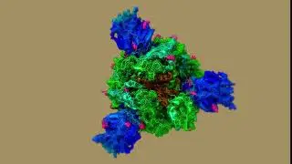 SARS-COV2, COVID19 3D Model Spike Protein