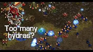 Beast! 🇰🇷 (Z) vs Bisu! 🇰🇷 (P) on Largo! - StarCraft - Brood War - 2026
