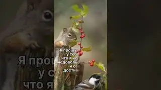 ЗD-Ауди Звук: Свобода от Зависти и Жабы Души