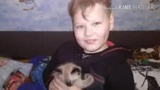 Котомания. Самые интересные фото.