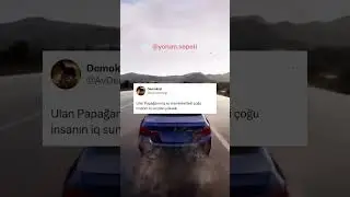 77 iQ'ye sahip papağan kılıçdaroğlu aday olmasın dedi- Komik Video Yorumları 