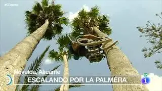 TVE con Mas Vertical en España Directo