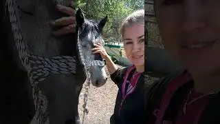 FIRST KISS WITH A STALLION #animals #donkeys #horseriding