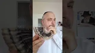 Трубление в Шофар в месяц Элуль - месяц милосердия и прощения от Александра Винокурова