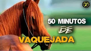 SELEÇÃO VAQUEJADA CD COMPLETO SÓ AS MELHORES - 50 MINUTOS DE FORRÓ E VAQUEJADA