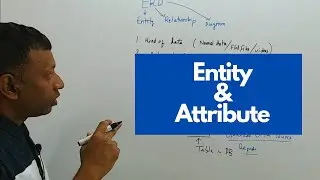 Data Modeling - Entity and Attribute