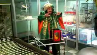 Амаяк Акопян в зоомагазине Динозаврик