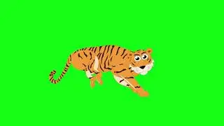 tiger Run R Cartoon Green Screen Video Footage Free 