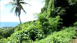 Land for sale In Hapy Hill St George's (Touched Reality Real Estate Services)