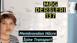 Membrandan hücre içine transport | MBG dersleri 137