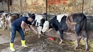 KURBANDAN SONRA GÜNLÜK İŞLER / GÜNLÜK İŞLER 72
