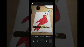 Tutorial Adobe Scan