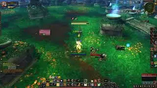 Shadowlands Ret 9 1 PVP  1v2