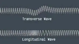 Transverse and Longitudinal Waves