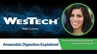 Anaerobic Digestion Explained