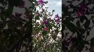#morning