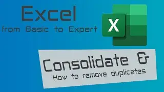 Excel: From Basics to Expert - Consolidate and Remove Duplicates