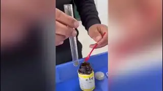 “Қызықты эксперимент әлемінде” атты химия пәнінен үйірме өз жұмысын бастады