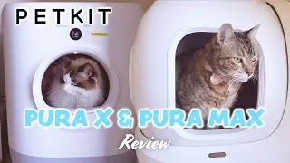 🐾 PETKIT Self Cleaning Litter Box: PURA X & PURA MAX Review!