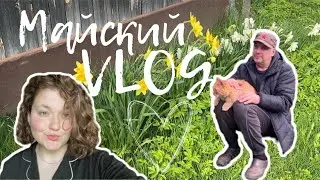 Майская поездка на дачу | VLOG