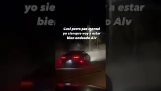 Bélico🇲🇽🔥#viral #viralshort #viralreels #viralvideo #mexico #shelby #viraltiktok #shorts #viralnews