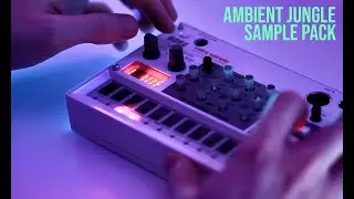 Ambient Jungle on Volca Sample (Sample Pack)