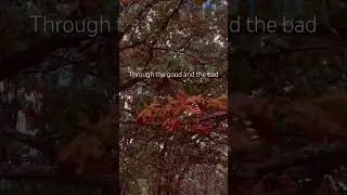 Love's melody in the autumn breeze. 🍁🍂🎶 #autumnvibes #FallLeaves #AutumnRomance #LoveSong