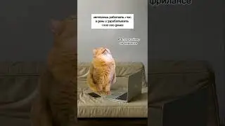 Узнали себя?😅 
