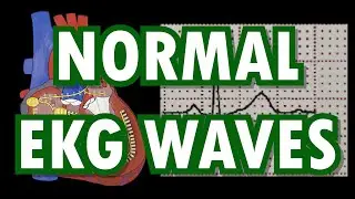 Easy EKG Part 2 (Normal Waves)