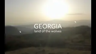 Georgia - land of the wolves