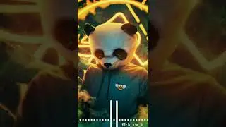 PANDA  EDITED SONG