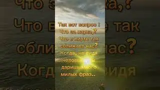 Два человека встретились в сети..